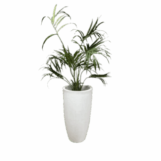 Grote witte vaas met Kentia Palm (kunstplant)
