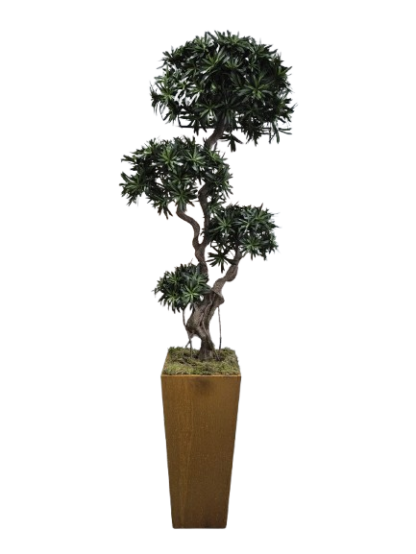 Kunstplant Podocarpus in cortens staal pot  235cm