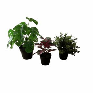 Kleine kunst planten (hangend en gewoon staand) set van 3 stuks